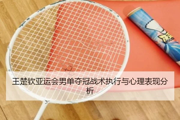 王楚钦亚运会男单夺冠战术执行与心理表现分析 - lol